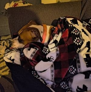 Meet your Posher, Tara